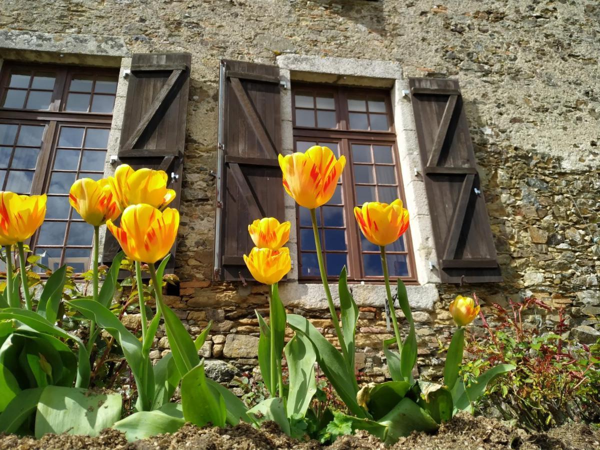 Chambre D'Hote Manoir De La Baudonniere Monsireigne Exterior foto